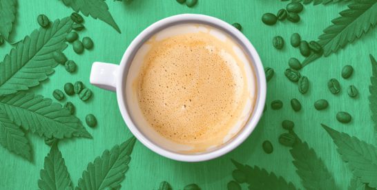 What Is CBD Coffee And The Top Brands Who Sell It