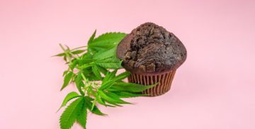 The Ultimate CBD Edibles, Gummies & Snacks Guide In The UK